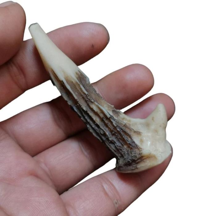 Gambar Pipa cangklong tanduk model tanduk rusa rasa gurih dan nikmat - model tanduk dari New sinar permata nusantara Kota Administrasi Jakarta Timur Tokopedia