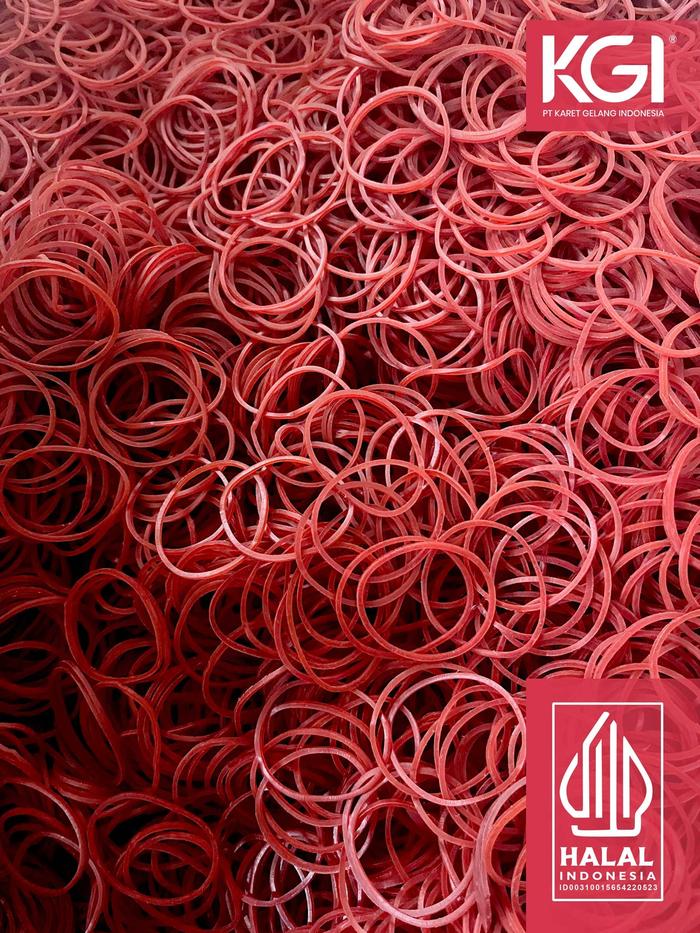 Gambar KARET GELANG PENTIL LUBANG BESAR ISI 250 GR - WARNA MERAH, HIJAU, KUNING DAN MIX - Merah dari Karet Gelang Indonesia undefined Tokopedia