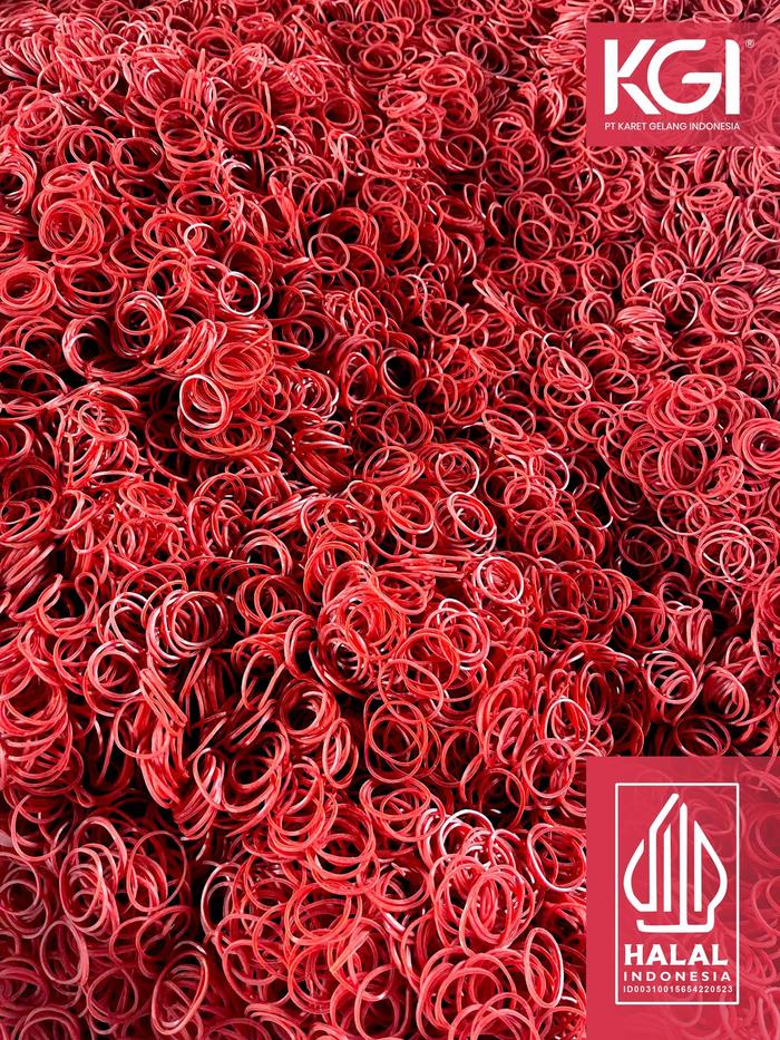 Gambar KARET GELANG PENTIL KECIL GROSIR ISI 100 GR - WARNA MERAH, HIJAU, KUNING DAN MIX - Merah dari Karet Gelang Indonesia undefined Tokopedia