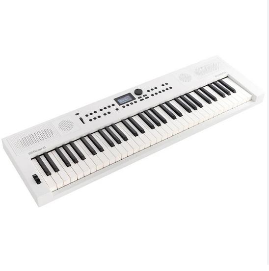 Gambar Roland GO KEYS 5 61 Key Touch Sensitive Portable Keyboard - Putih dari Bandar Musik Jakarta BMJ undefined Tokopedia