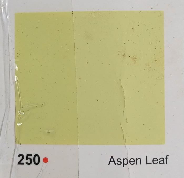 Gambar Cat Avitex / Cat Tembok Avitex 25 kg - Aspen Leaf dari mark down shop undefined Tokopedia