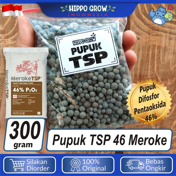 Gambar Pupuk TSP Triple Super Fosfat Kemasan 300 gr dari Hippo Grow Indonesia undefined Tokopedia