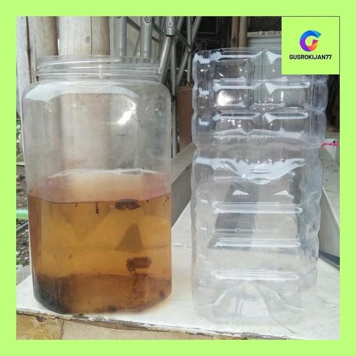 Gambar GUS_ BOTOL BEKAS POCARI SWEAT 2 LTR POTONG BERSIH - botol utuh dari Gusrokijan77 undefined Tokopedia