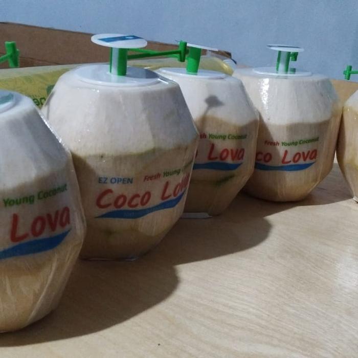 Gambar GROSIR Pembolong Sedot Kelapa Ala Thailand Coco Thumb (Press Pull Tab) - Putih dari Niaga Pedia undefined Tokopedia