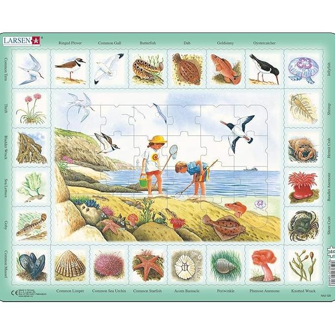 Gambar Larsen Puzzles Seaside 48 Piece ChildrenS Educational Jigsaw Puzzle dari Shine Markett undefined Tokopedia