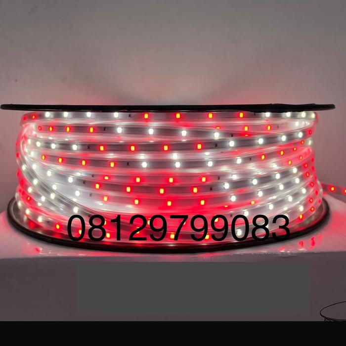 Gambar lampu selang led strip flexibel pita hias 100m 100 m outdoor hias plafon drop ceiling plafon gapura pagar pohon merah putih / rgb / 1 warna 17 agustusan - MERAH PUTIH dari central led lighting undefined Tokopedia