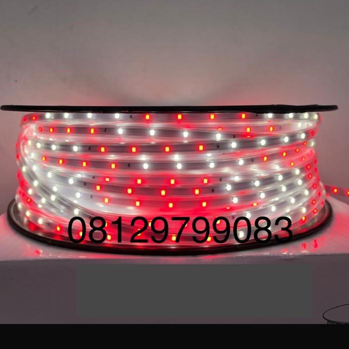 Gambar lampu selang led strip 2835 / 3535 / 3528 outdoor drop plafon ceiling cafe 100m cafe hias taman garden pohon outdoor caffe 100 m - MERAH PUTIH dari PROLED ELECTRIC undefined Tokopedia