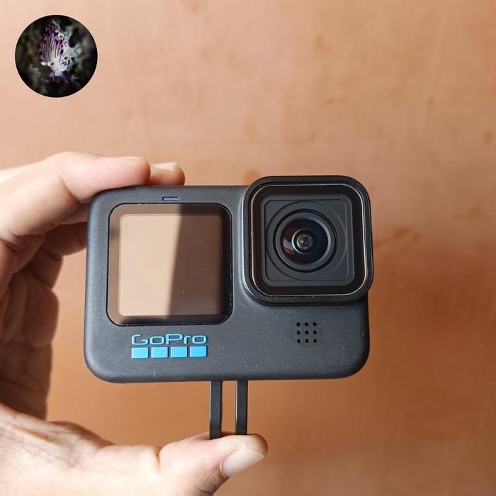 GoPro - 新品未開封 gopro HERO11 Black CHDHX-112-FWの通販 by