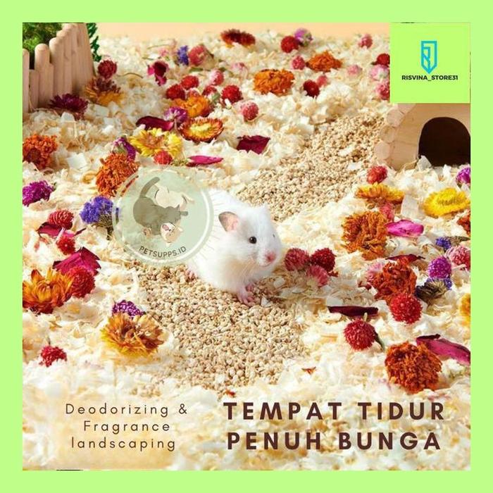Gambar RISVI" YEE BEDDING TOPPER | UNTUK HAMSTER KELINCI GUNIEA PIG LANDAK MINI SUGAR GLIDER GERBIL | PEWANGI KANDANG SMALL ANIMALS | FRESH PACK dari Risvina_Store31 undefined Tokopedia