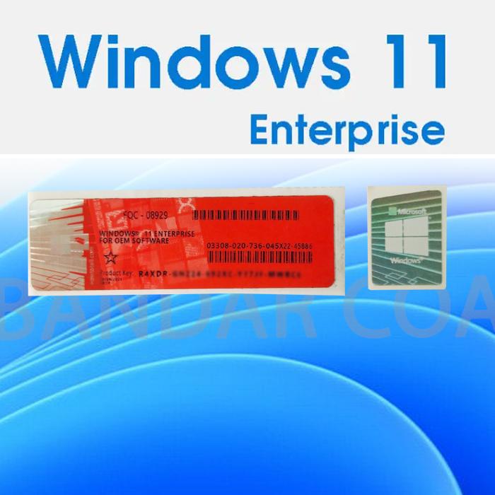 Gambar Windows 11 Enterprise 32/64 Bit - Digital Licence With Stiker Key (COA Original) dari SOFTWARE ASLI JKT undefined Tokopedia