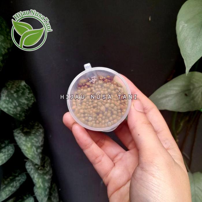 Gambar Pupuk Osmocote Dekastar Plus 13-13-13 - 100 gram - Ecer 30gr dari Hijau Nusa Tani undefined Tokopedia