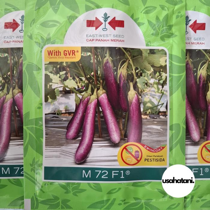 Gambar Benih Terong Ungu Tahan Virus M 72 (M72) F1 1100 Butir Cap Panah Merah dari usahatani online undefined Tokopedia
