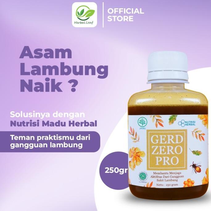Gambar [Cod] Madu Maag Lambung - Gerd Zero Pro - Silver dari CV. Flindex Marta undefined Tokopedia