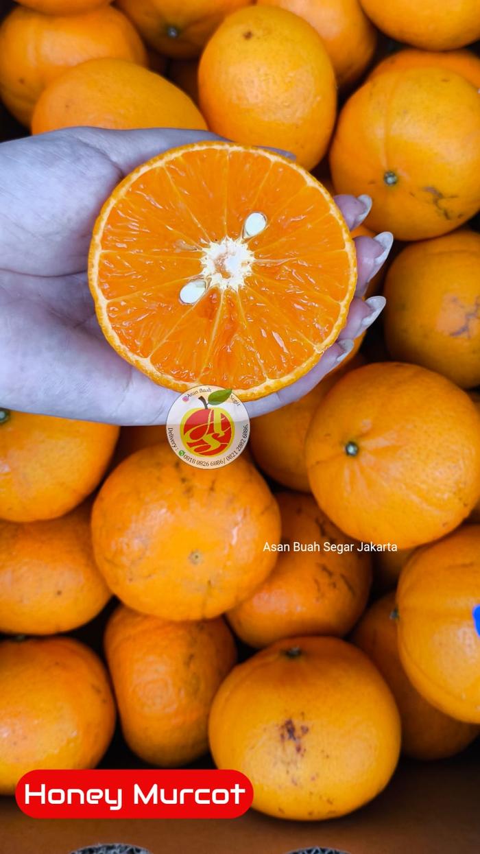 Gambar buah jeruk ponkan ponkam lokam lukam honey mandarin manis cina taiwan - MURCOT dari Asan Buah Segar undefined Tokopedia