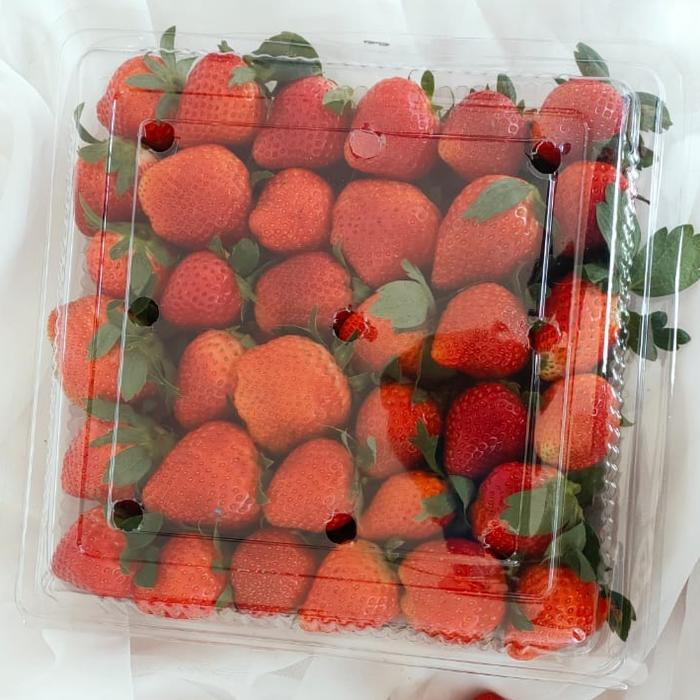 Gambar Strawberry Ciwidey Fresh 1kg Stroberi Segar - 1 kg dari Segar Plus undefined Tokopedia