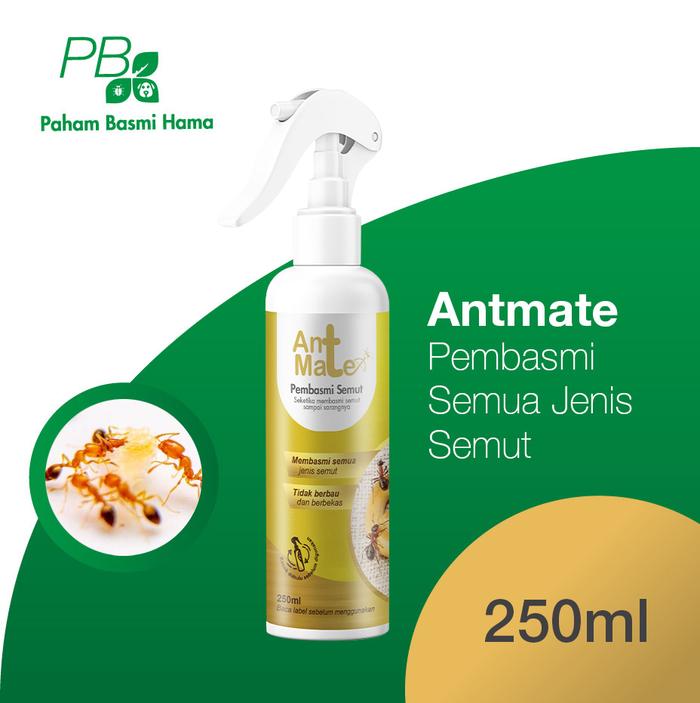 Gambar AntMate - Pembasmi Semut Sampai Ke Sarang - Langsung Spray - Tanpa Bau dari Paham Basmi Hama - Jakarta undefined Tokopedia
