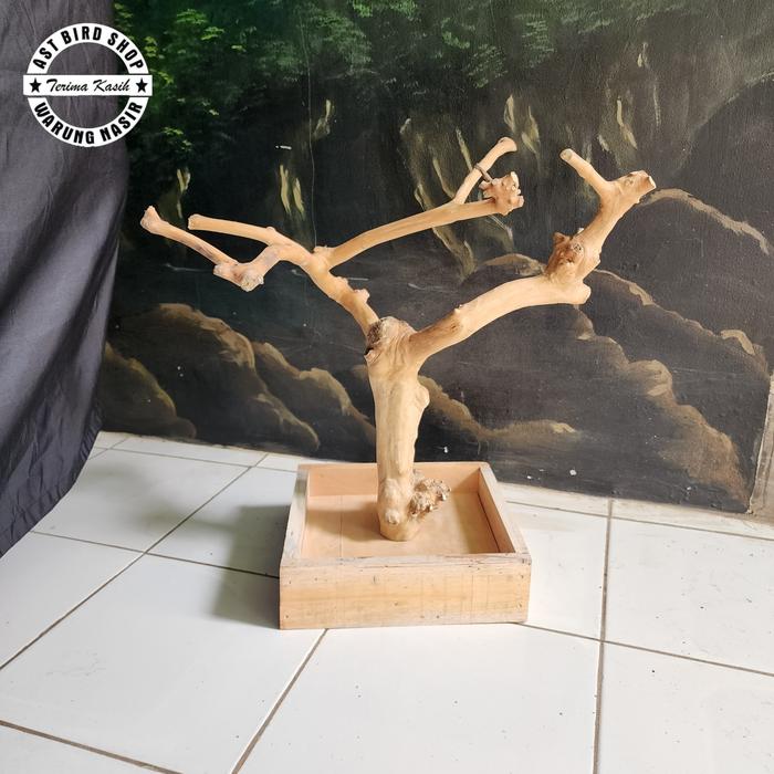 Gambar Tangkringan pohon kopi small tangkringan burung dari AST bird shop undefined Tokopedia