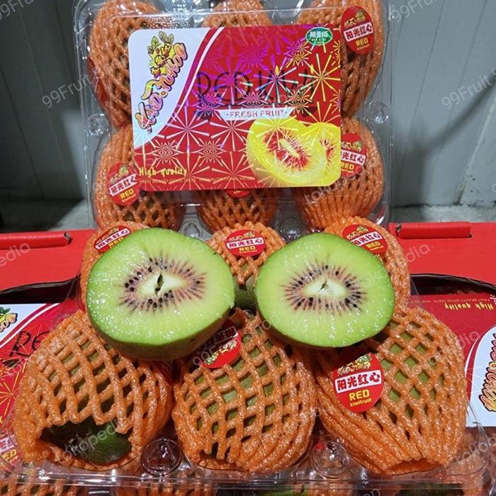 Gambar BUAH KIWI RED SUPER PREMIUM | KIWI MERAH | PACK dari 99Fruit Shop undefined Tokopedia