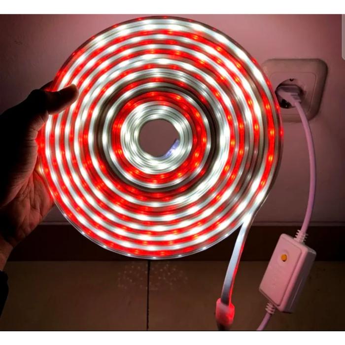 Gambar LED STRIP SELANG MERAH PUTIH 3528 2835 220V + ADAPTOR LAMPU AGUSTUSAN - MERAH PUTIH dari SINAR TERANG SIMO MAKMUR undefined Tokopedia