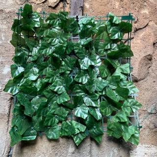 Gambar Daun Rambat Dinding 1x3 M  Rambat Roll Rumput Pagar Tanaman Plastik Artificial Minimalis Home - (1x3m)Anggur dari Minimalis Home Tokopedia undefined Tokopedia