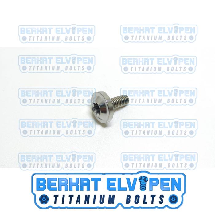 Gambar Baut Titanium BIG HEAD M6 X 15 Drat 10 Panjang 15 mm - Silver dari Berkat_Elvipen undefined Tokopedia
