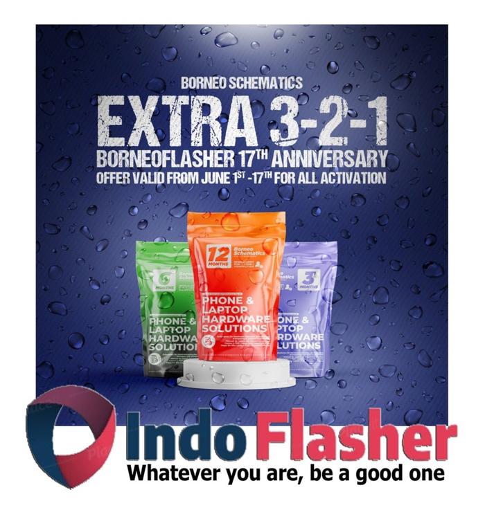Gambar Activation Schematic Borneo Skematik Borneo Hardware Solution 3 Bulan - 6 Bulan dari IndoFlasher undefined Tokopedia