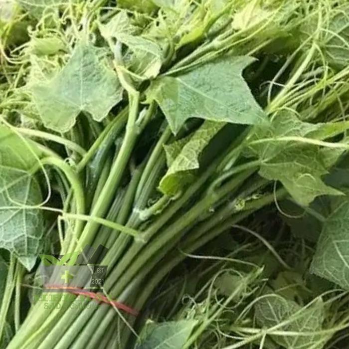 Gambar Daun Labu Siam Pucuk Daun Labu Siam Atau Labu Jipang Per Ikat dari SADAHERBAL undefined Tokopedia
