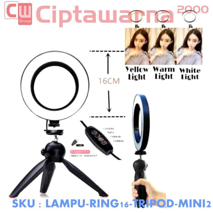 Gambar Paket Tripod Mini + Lampu Ring Light LED 16cm 6" Selfie Tiktok Vlog - PAKET dari Ciptawarna2000 Home Living undefined Tokopedia