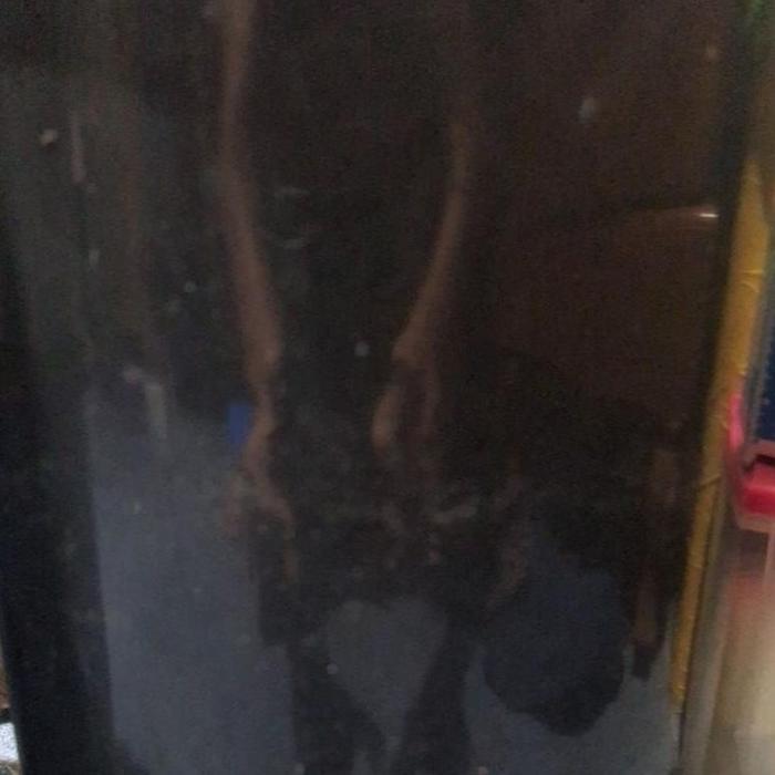 Gambar NEW auto feeder DIY tempat makan otomatis ikan,kucing,anjin,dll kapasitas pakan 2kg - Tanpa timer dari PT Kreasi Indonesia1 undefined Tokopedia