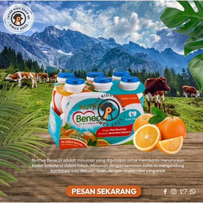 Gambar Terbaru Nutrive Benecol Untuk Kolesterol 6 Botol × 100Ml Nutrive Fibershoot Kode 255 - Benecol Yogurt dari T&#39;nors Shop undefined 5 Tokopedia