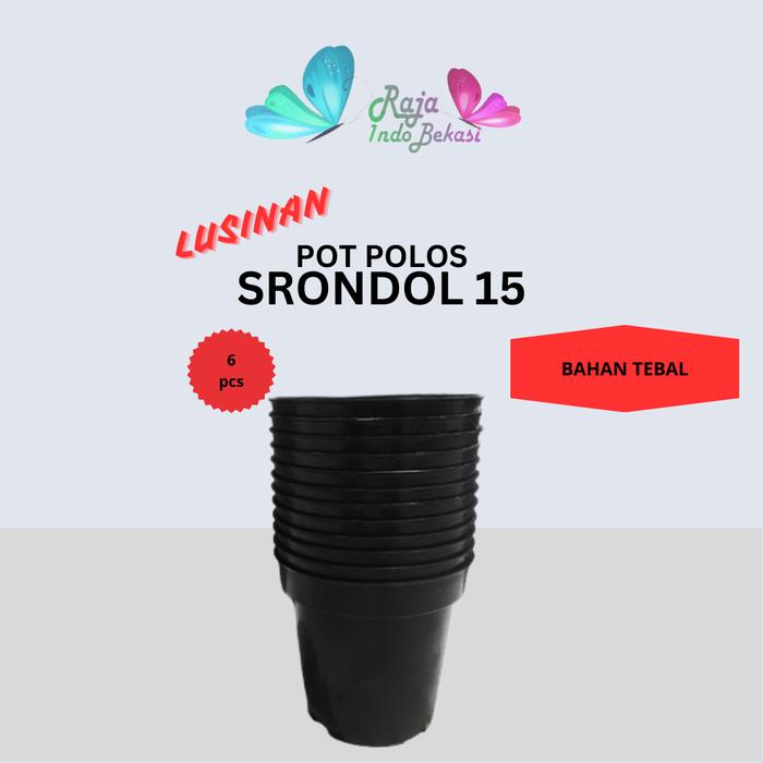 Gambar RAJA INDO Lusinan 12PCS Pot Tinggi Srondol 15 Hitam Pot Bunga Tanaman Polos - 6 pcs dari Raja Indo Bekasi undefined Tokopedia