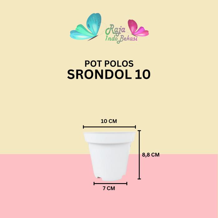 Gambar POT BUNGA 10cm PUTIH Pot Tanaman Hias Grosir Murah Plastik Pot 10 cm - Srondol 10 pth dari Raja Indo Bekasi undefined Tokopedia