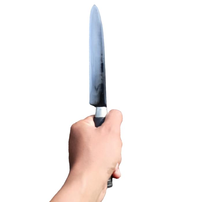 Gambar Pisau Dapur Baja HSS Asli Pisau Super Tajam Seset Daging Pisau Potong - besar dari setiya313 undefined Tokopedia