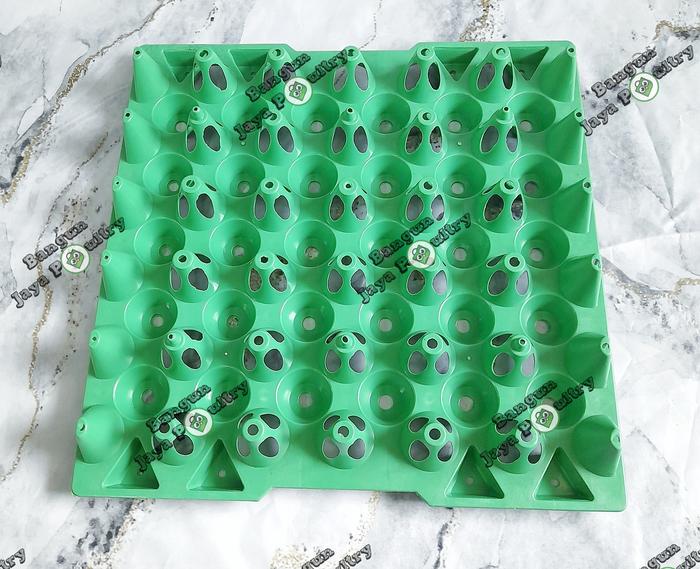 Gambar EGG TRAY PLASTIK / EGG TRAY WARNA 31.5  cm / KANDANG AYAM PETELUR / ALAT TERNAK AYAM - HIJAU 1 PCS dari BANGUN JAYA FOULTRY undefined Tokopedia