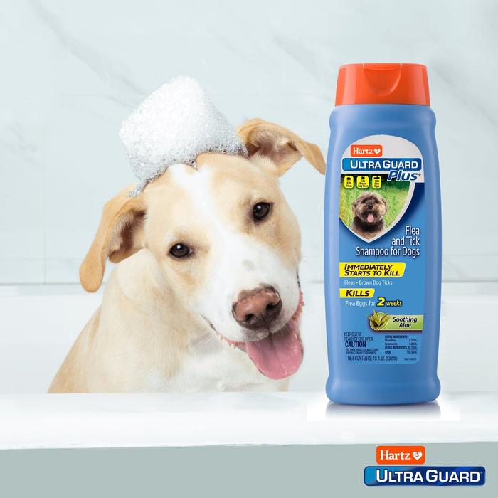 Ultra Guard Anti Flea Medication For Dogs Hartz Ultra Guard Fresh