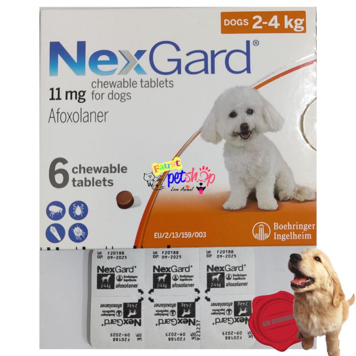 Anjing K9 Online Nexgard Dog Chewable Flea Meds NexGard Spectra