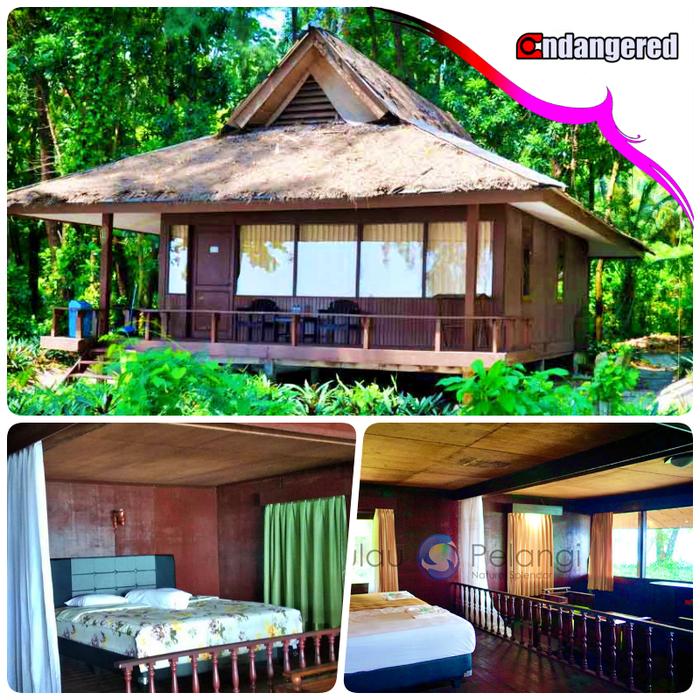 Gambar Voucher Tour Pulau Pelangi Kepulauan Seribu - Bougenville, 2 Hari 1 Malam dari Endangered Store undefined Tokopedia