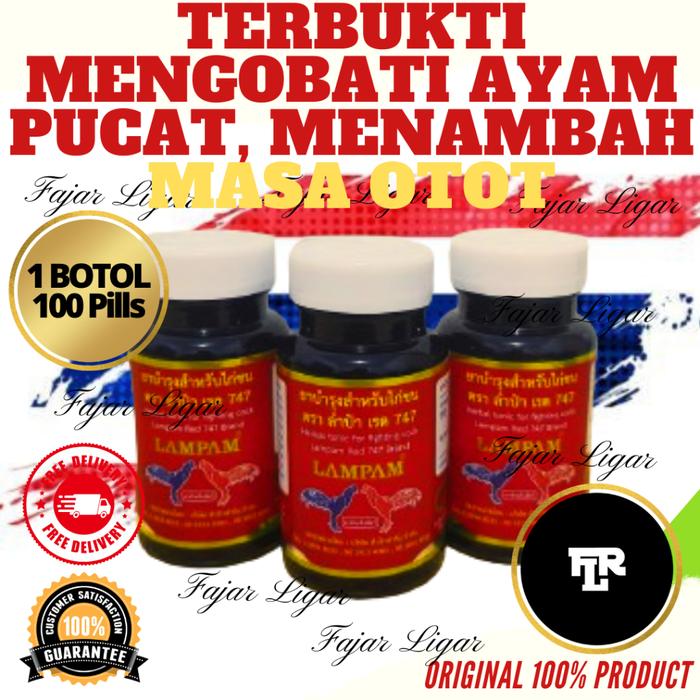 Gambar MULTIVITAMIN AYAM LAMPAM SUPER MEGA RED 747 100 BUTIR TENAGA EXTRA dari Fajarligarshop undefined Tokopedia
