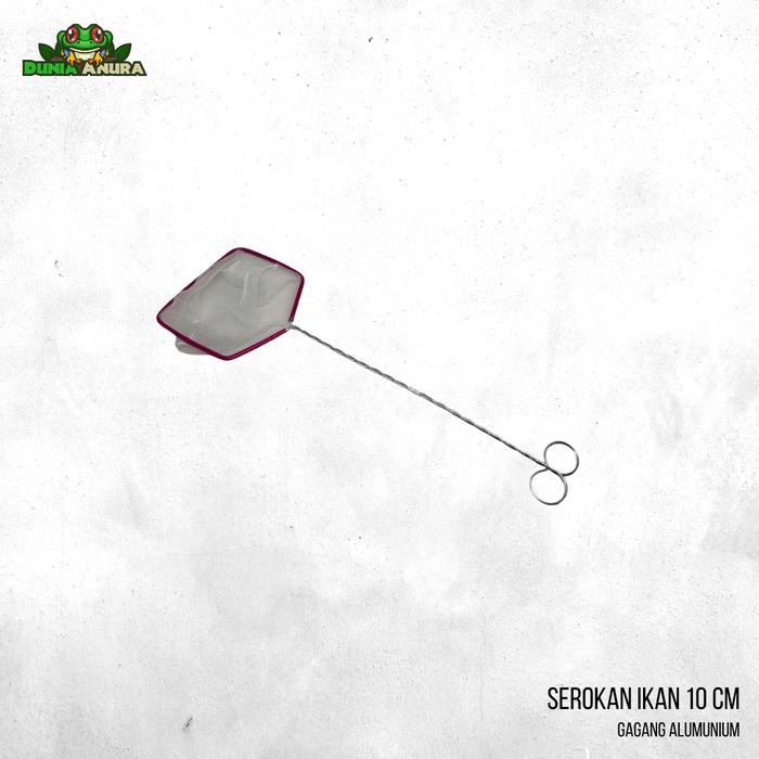 Gambar Serokan ikan gagang kawat - 10 cm  dari Dunia Anura 99 undefined Tokopedia