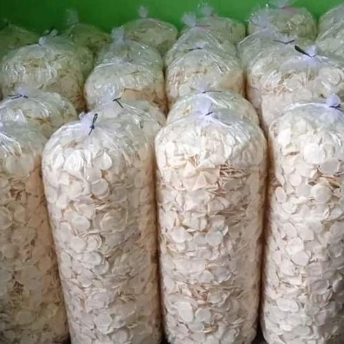 Gambar Opak Koin Khas Wonosobo Jawa Tengah dari Riccardon undefined Tokopedia