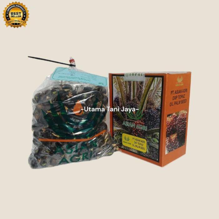 Gambar Bibit benih sawit unggul bersertifikat 250 butir - Topaz, Isi 150 butir dari Benih Sayuran 52 Store undefined Tokopedia