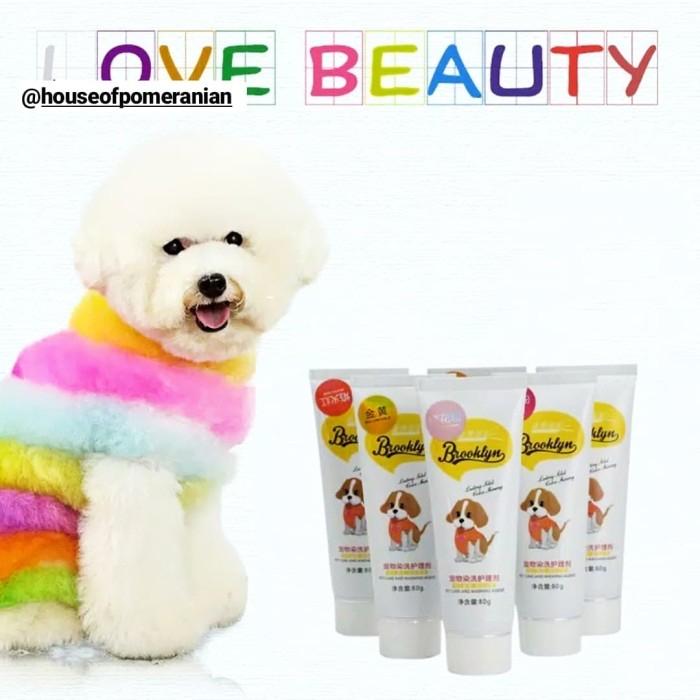 Gambar pet colouring cat warna rambut bulu anjing hewan dog - Samba Orange dari House Of Pomeranian undefined Tokopedia