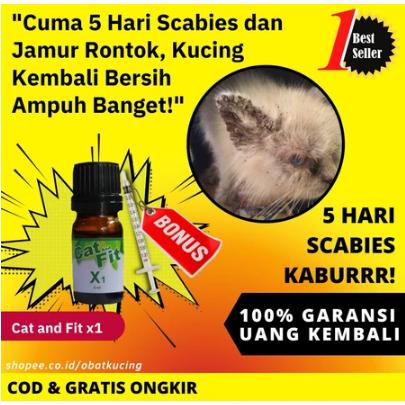 Gambar ADA!!! KAPSUL AJAIB - Obat Antivirus Panleu, Calici, Distemper, FIP - Isi 7 Kapsul, Kuning Adult dari kinar kinclong undefined 3 Tokopedia