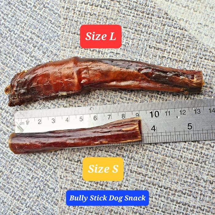Gambar RumahBully Jerky | Bully Stick - SHORT | Dog Snack Food Treats Anjing - S dari RumahBully undefined Tokopedia