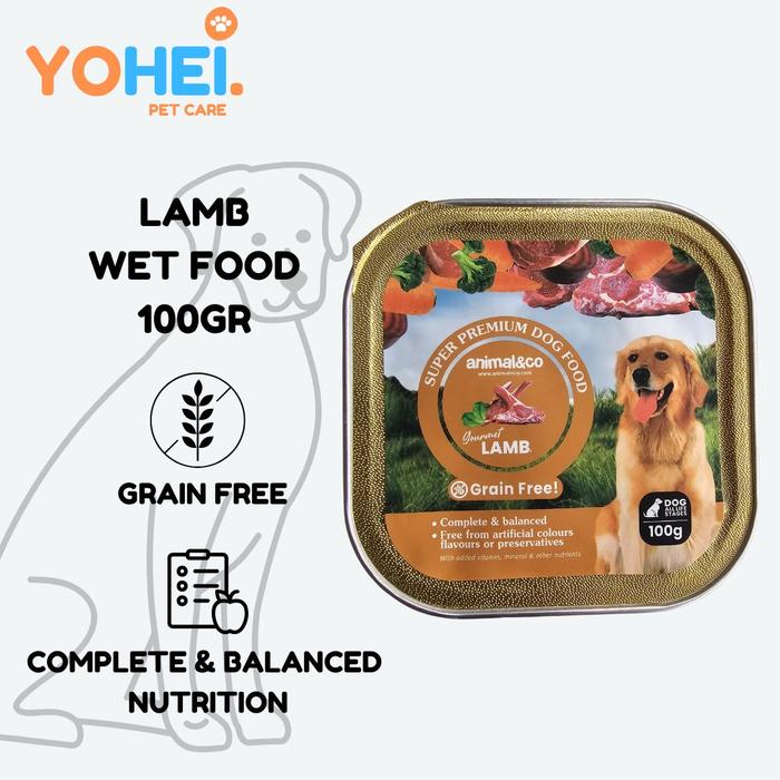 Animal Co Super Premium Dog Food Gourmet Lamb tray 100gr di Yohei Pet  Care Tokopedia