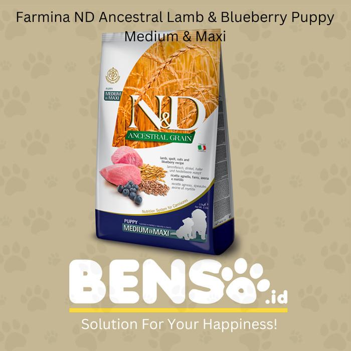 Benimellalkhenifra Why Are Grain Free Dog Foods Bad Petsmart