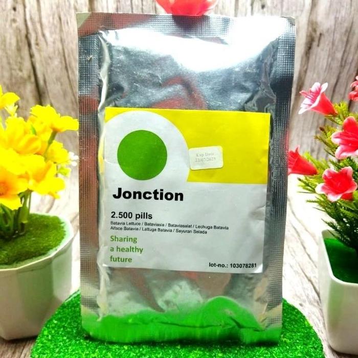Gambar READY!! Benih Bibit Selada JONCTION RZ 1000 Pills | 2500 Pills Rijk Zwaan Batavia Lettuce - 2500 Pills dari CV EQUIZELI undefined Tokopedia