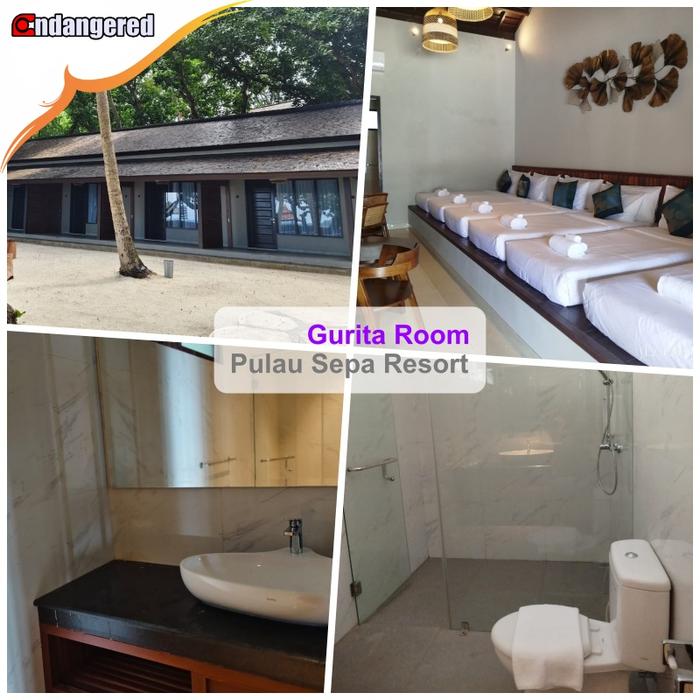 Gambar Voucher Pulau Sepa Resort Kepulauan Seribu - Gurita Family, Room Only dari Endangered Store Kota Administrasi Jakarta Utara Tokopedia