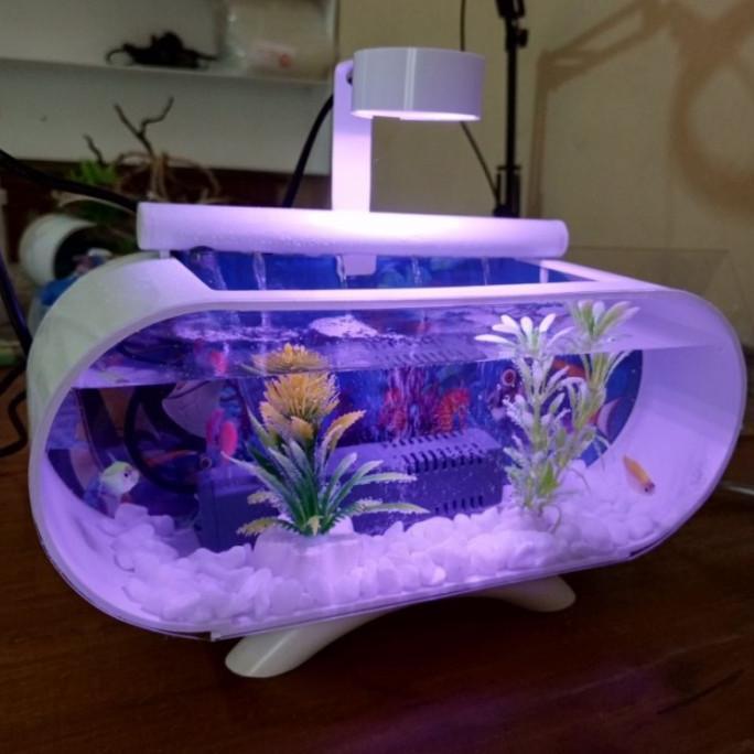 Gambar AQUARIUM MINI AKRILIK MINIMALIS FULL SET BESAR JUMBO POMPA FILTER DAN LAMPU LED 100% - tanpa pompa, putih dari SG WANNABE undefined Tokopedia