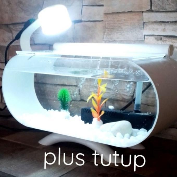 Gambar Aquarium mini akrilik unik ikan hias full set 100% - Plus tutup, Batu kuning dari SG WANNABE undefined Tokopedia